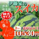 【4L玉9kg】伊藤家のスイカ2個セット