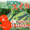 【3L玉8kg】伊藤家のスイカ2個セット